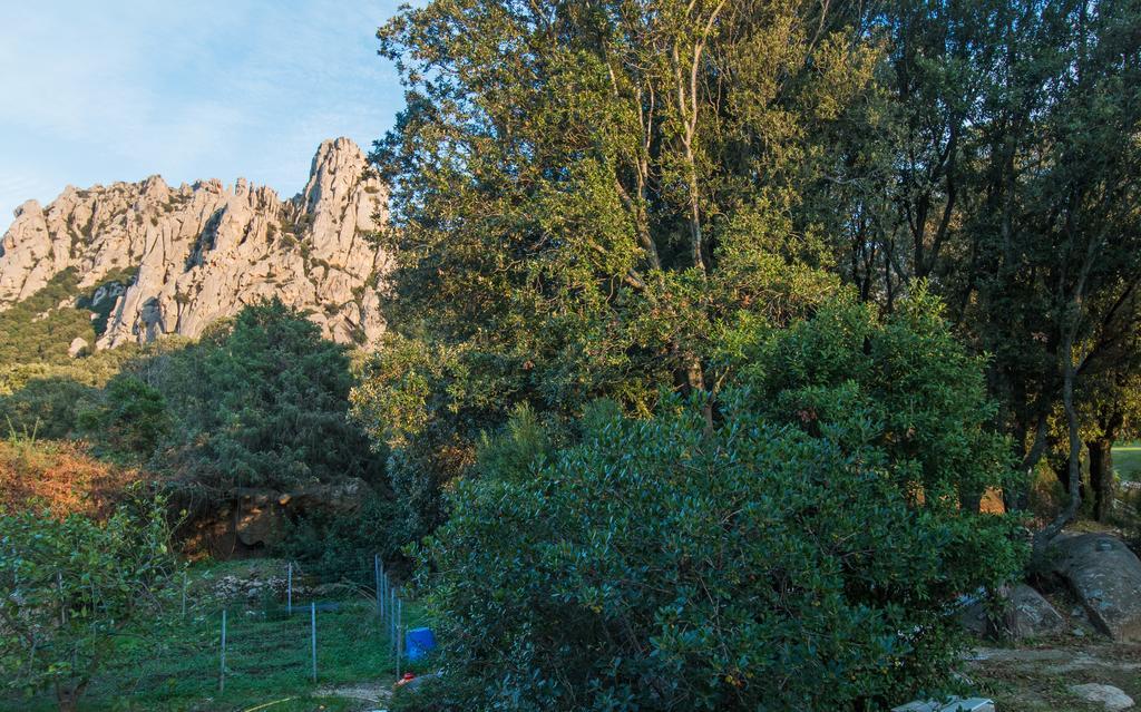 Willa Casa Vacanze San Pantaleo Zewnętrze zdjęcie